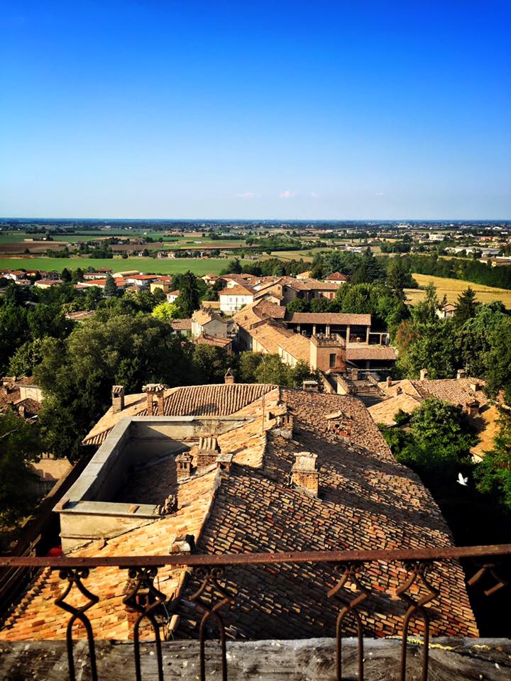 Vista sui tetti del castello